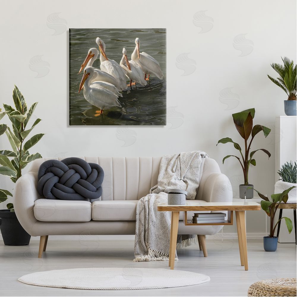 David Lorenz Pelican Birds Standing Shallow Water  Canvas Wall Art in Room