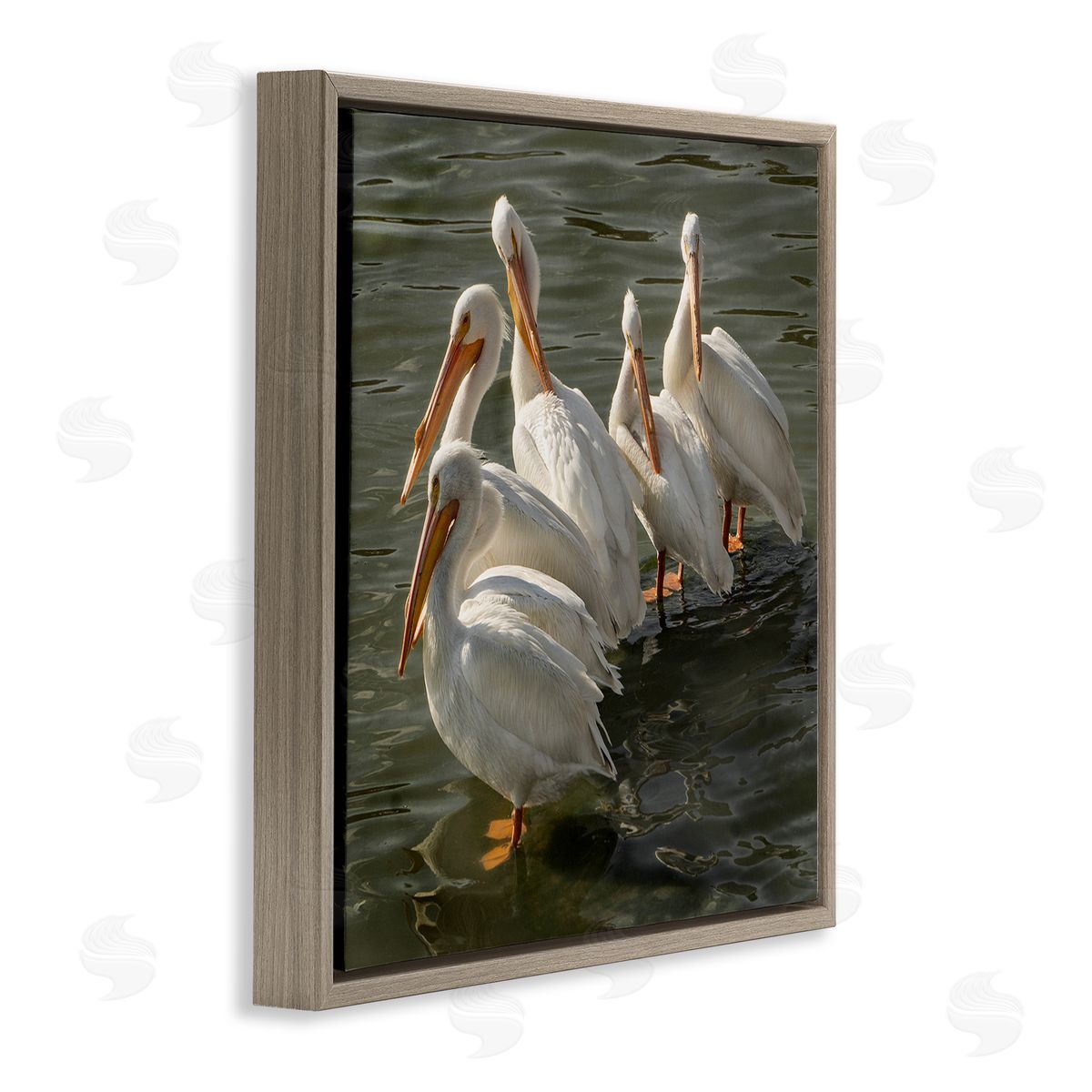 David Lorenz Pelican Birds Standing Shallow Water  Brown Floating Frame Canvas Wall Art Print