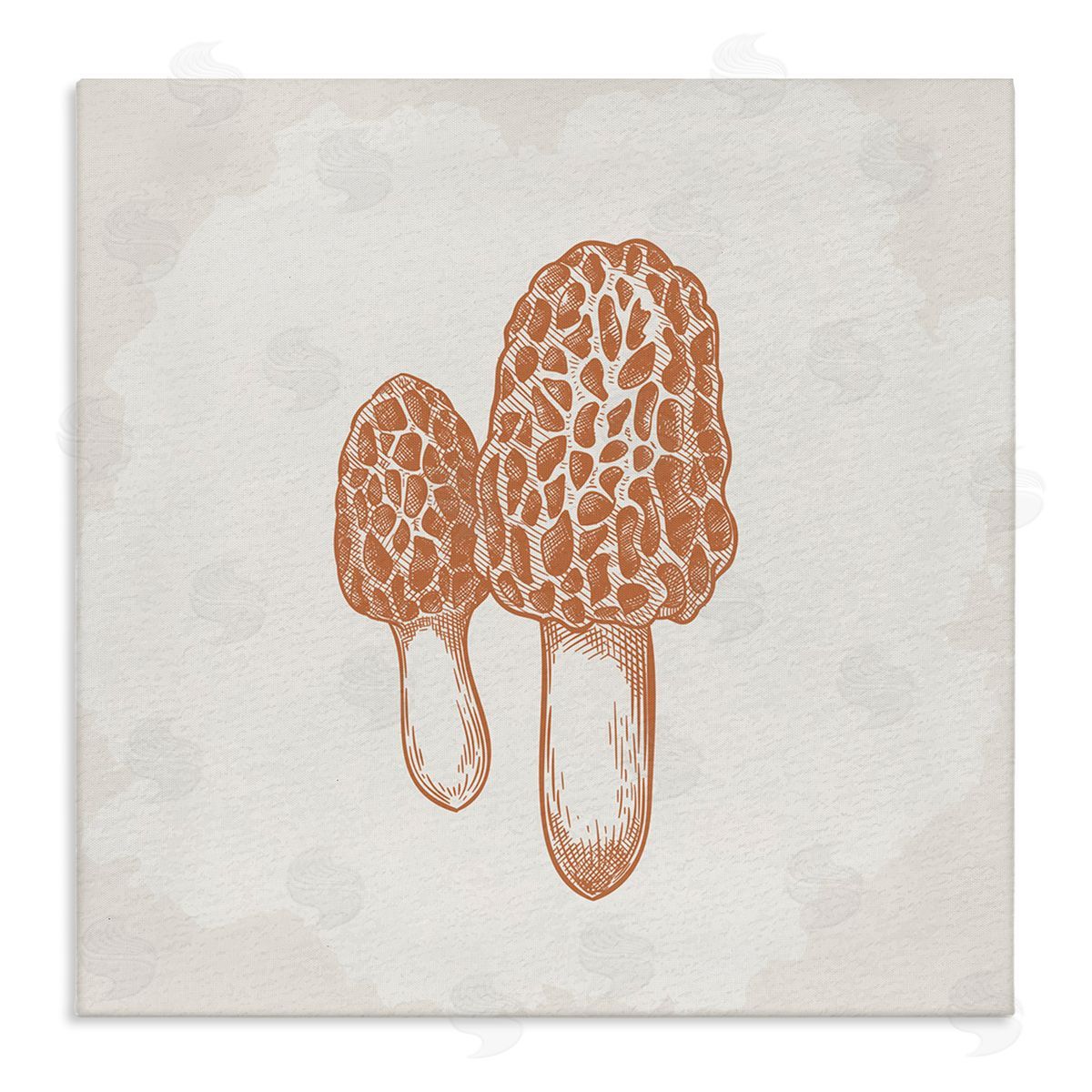 Kim Allen Detailed Mushroom Latin Study Drawing Stretched Canvas Wall Art Print