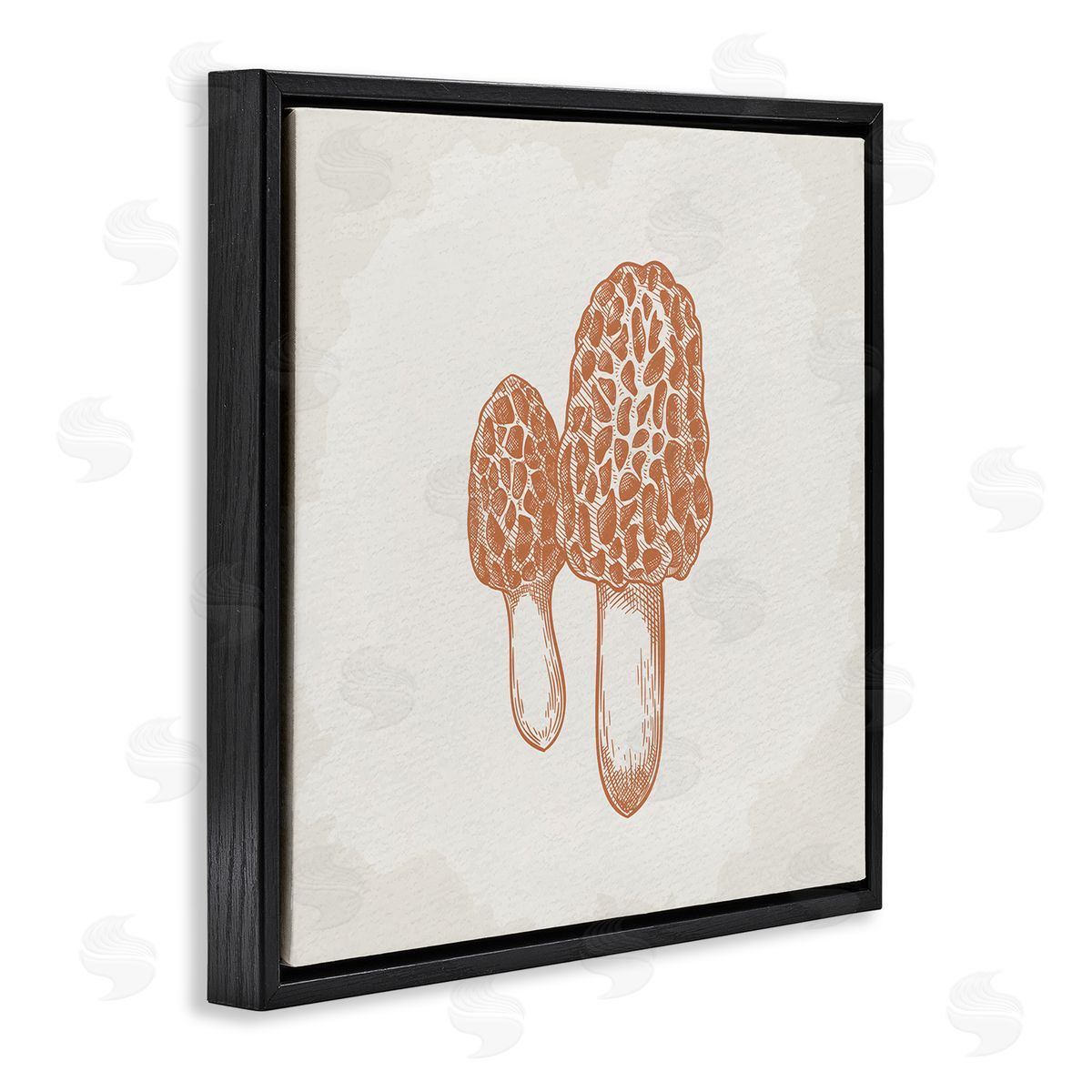 Kim Allen Detailed Mushroom Latin Study Drawing Black Floating Frame Canvas Wall Art Print