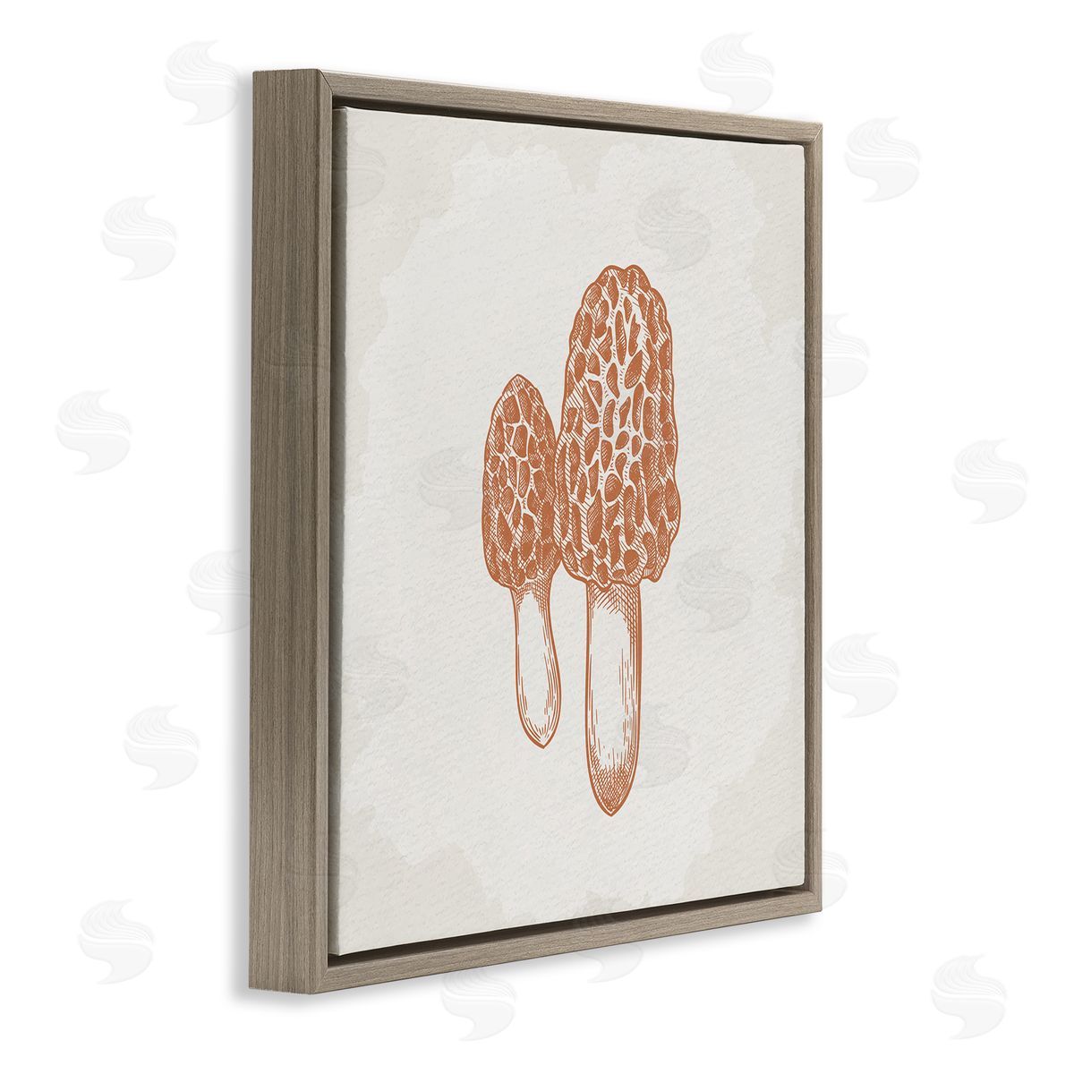 Kim Allen Detailed Mushroom Latin Study Drawing Brown Floating Frame Canvas Wall Art Print