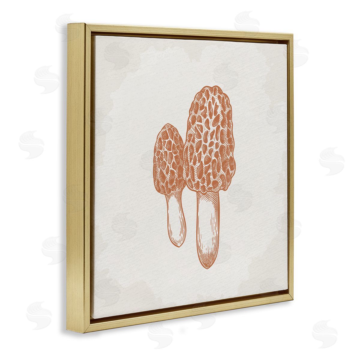 Kim Allen Detailed Mushroom Latin Study Drawing Gold Floating Frame Canvas Wall Art Print