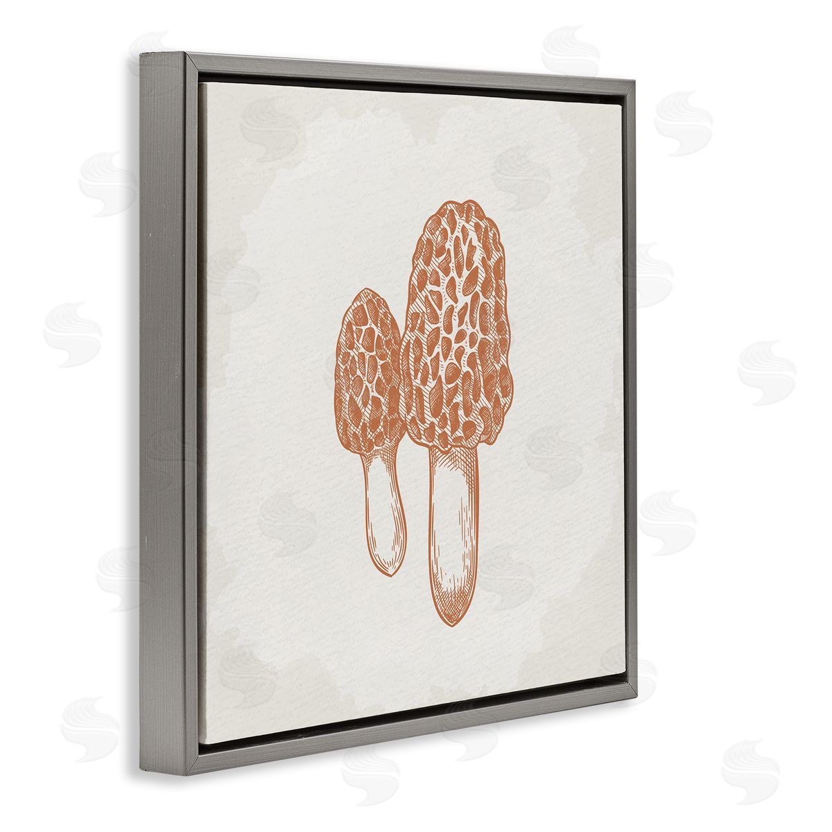 Kim Allen Detailed Mushroom Latin Study Drawing Gray Floating Frame Canvas Wall Art Print