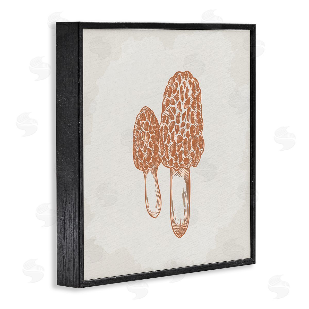 Kim Allen Detailed Mushroom Latin Study Drawing Black Framed Glicee Wall Art Print