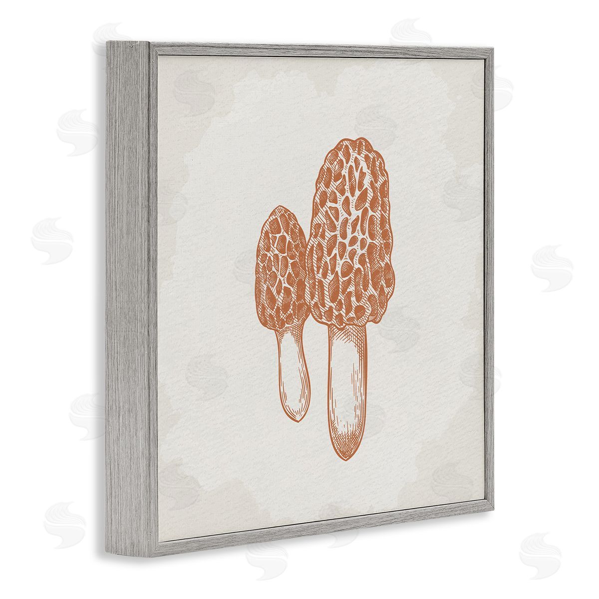 Kim Allen Detailed Mushroom Latin Study Drawing Gray Framed Glicee Wall Art Print