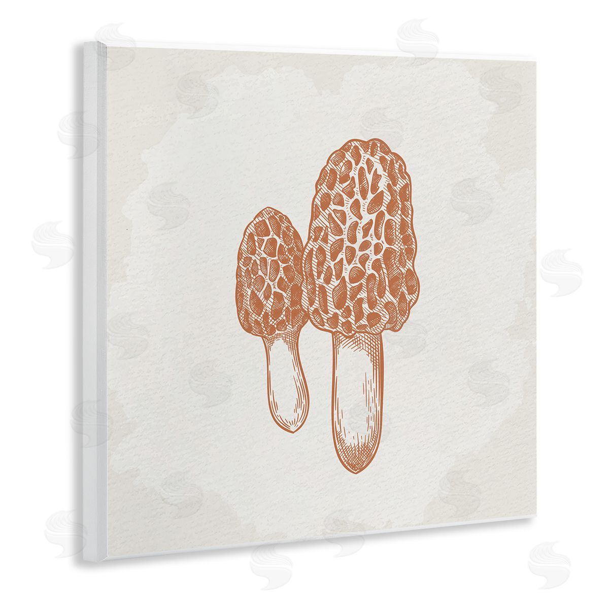 Kim Allen Detailed Mushroom Latin Study Drawing Wooden Wall Plaque Art Print