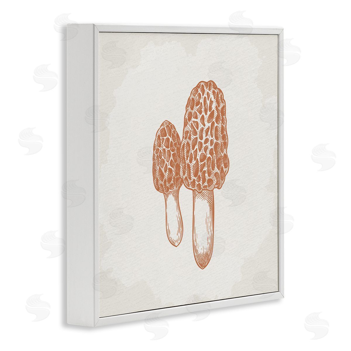 Kim Allen Detailed Mushroom Latin Study Drawing White Framed Glicee Wall Art Print