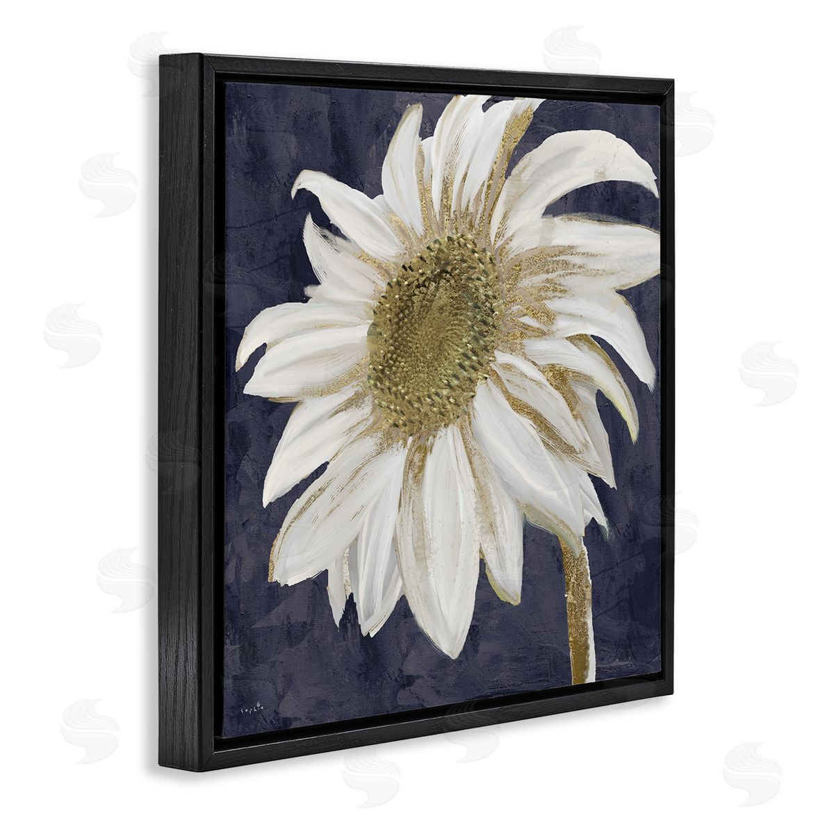 Sophie 6 Distressed Daisy Petals Black Floating Frame Canvas Wall Art Print