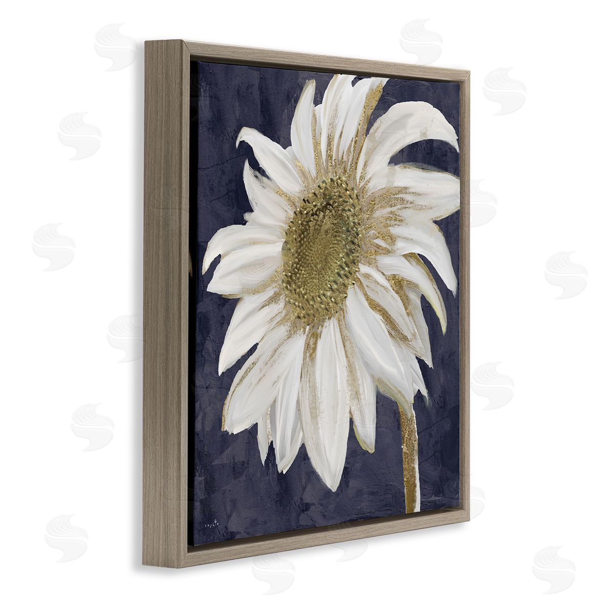 Sophie 6 Distressed Daisy Petals Brown Floating Frame Canvas Wall Art Print