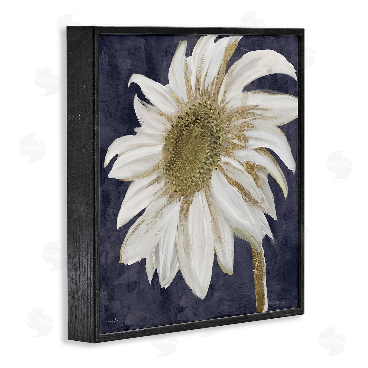 Sophie 6 Distressed Daisy Petals Black Framed Glicee Wall Art Print