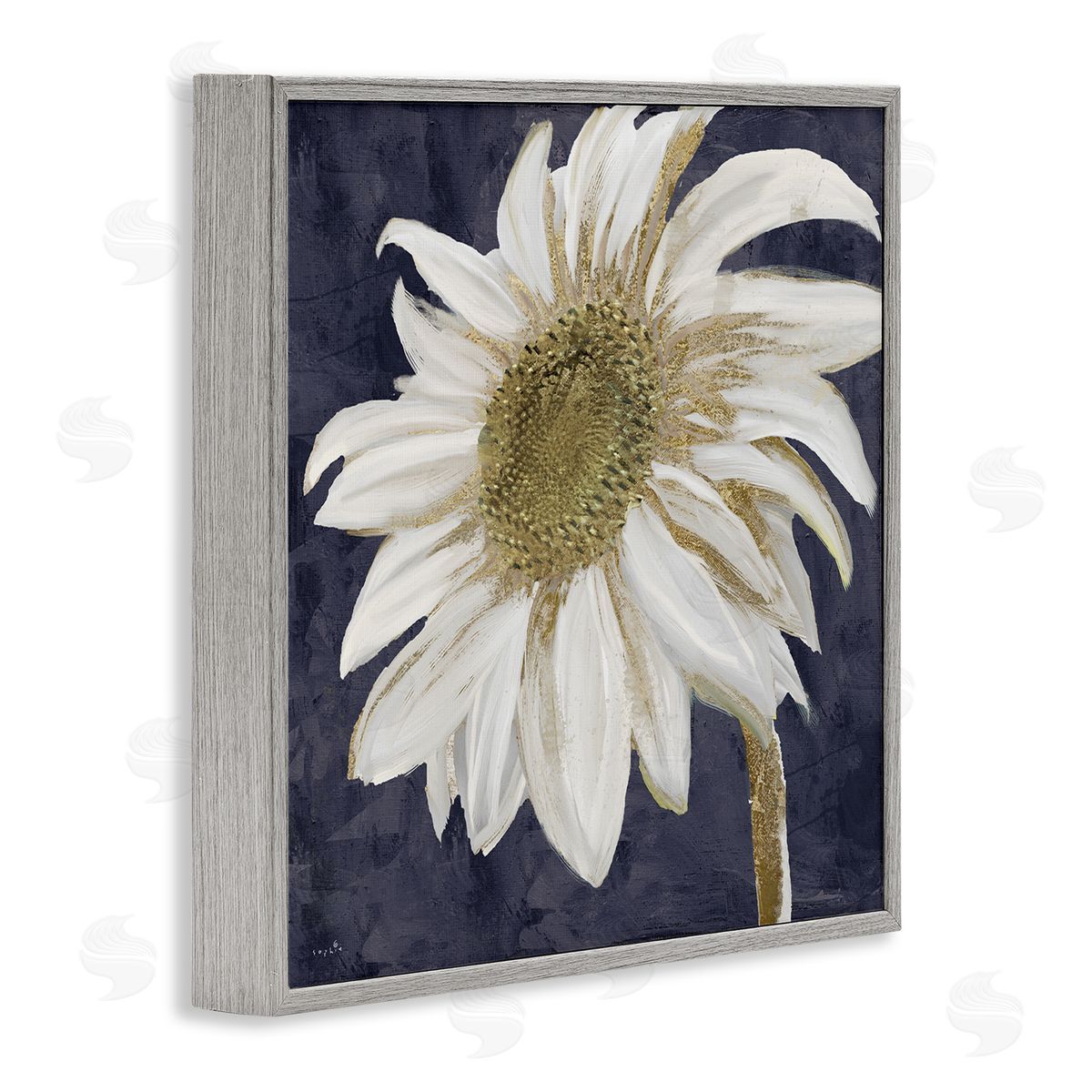 Sophie 6 Distressed Daisy Petals Gray Framed Glicee Wall Art Print