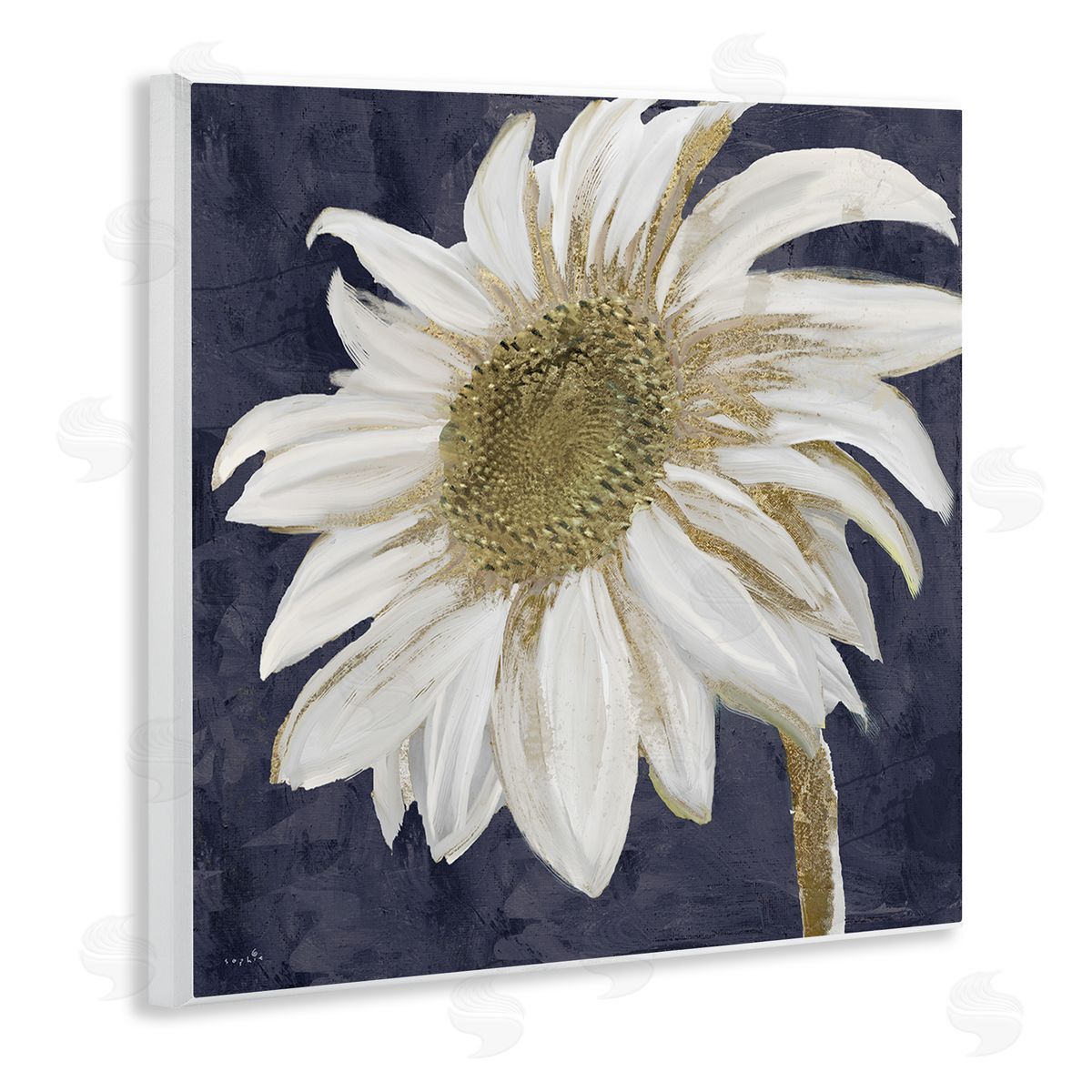 Sophie 6 Distressed Daisy Petals Wooden Wall Plaque Art Print