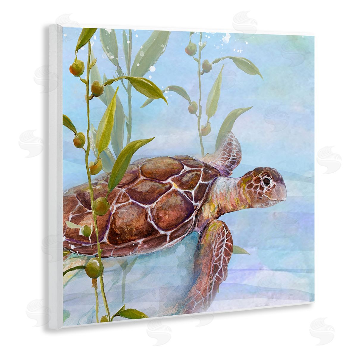 Diannart Turtle Swimming Between Reef Wooden Wall Plaque Art Print