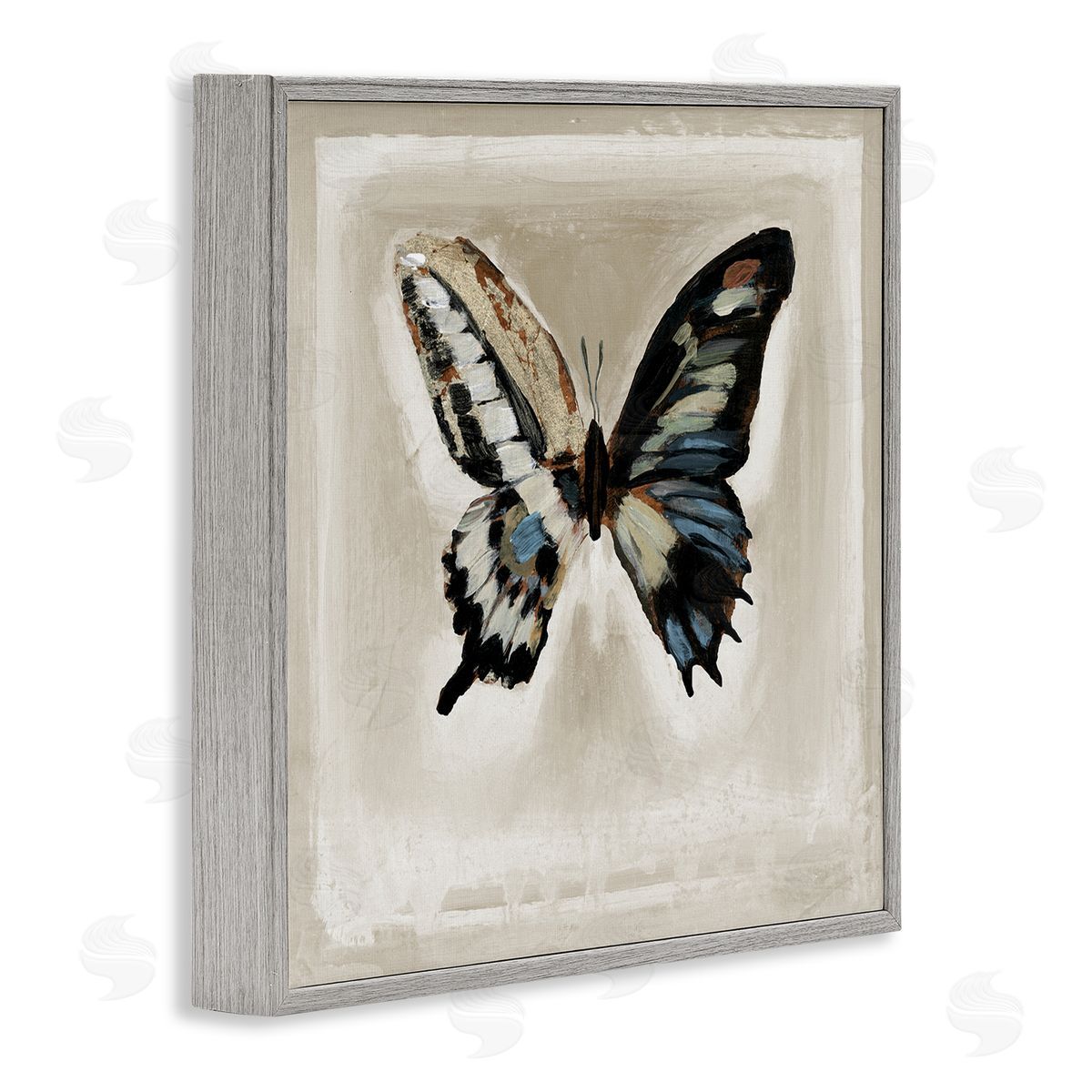Stacy D'Aguiar Bold Butterfly Insect Gray Framed Glicee Wall Art Print