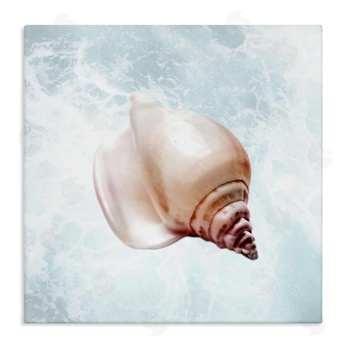 Marcus Prime Nautical Beach Seashell Stretched Canvas Wall Art Print