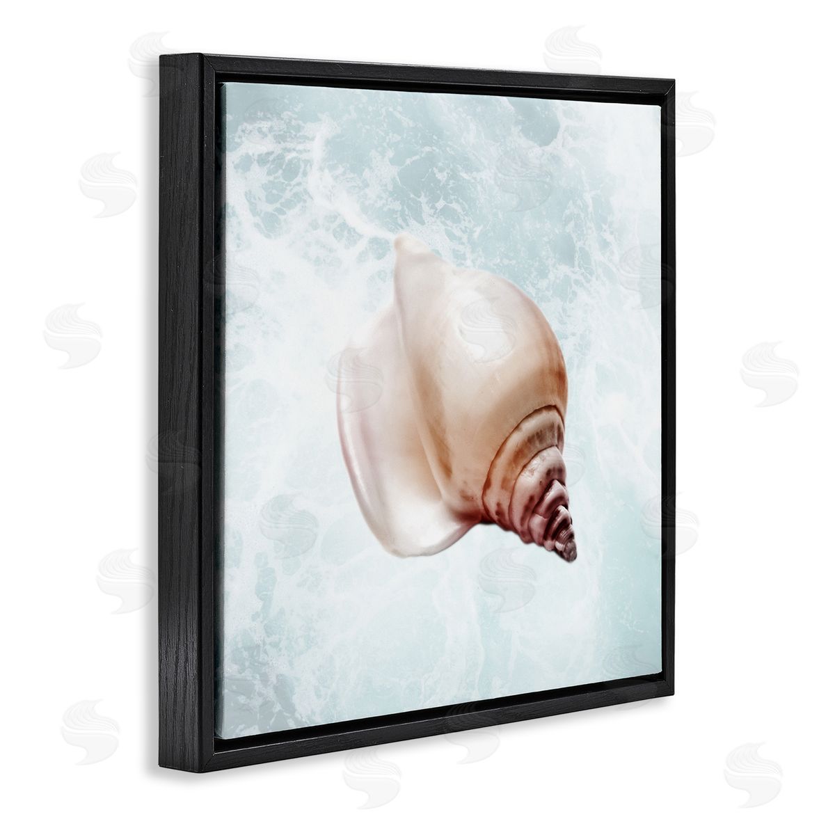 Marcus Prime Nautical Beach Seashell Black Floating Frame Canvas Wall Art Print