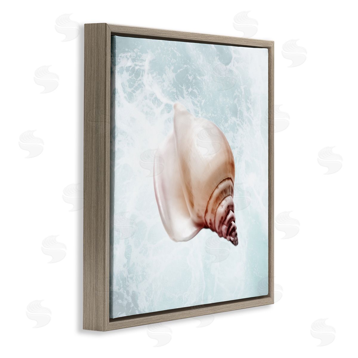Marcus Prime Nautical Beach Seashell Brown Floating Frame Canvas Wall Art Print