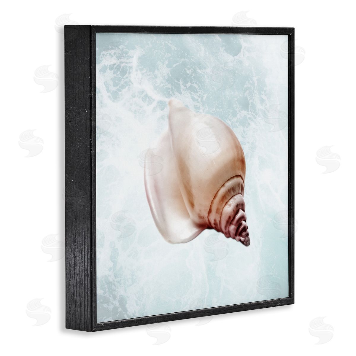 Marcus Prime Nautical Beach Seashell Black Framed Glicee Wall Art Print