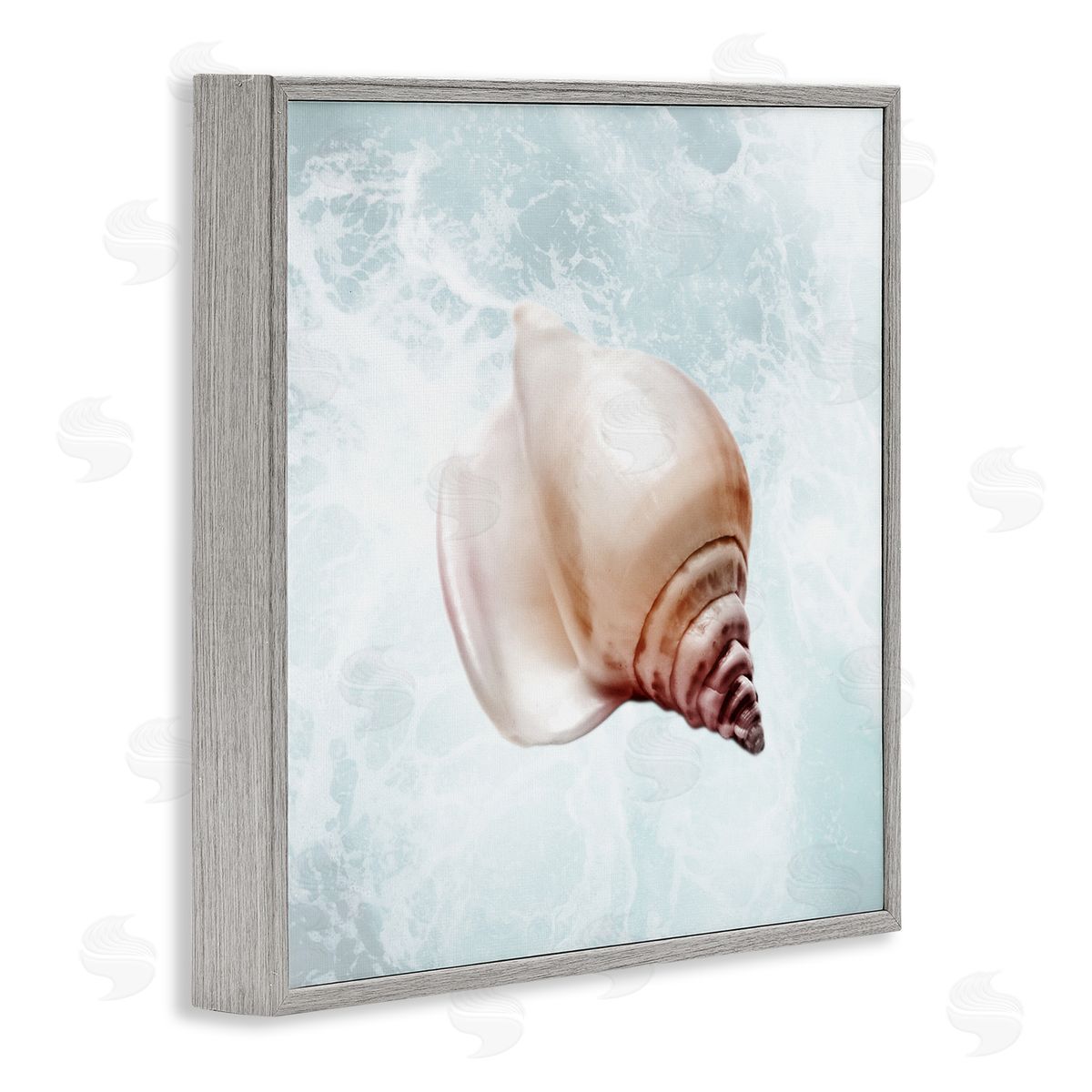 Marcus Prime Nautical Beach Seashell Gray Framed Glicee Wall Art Print