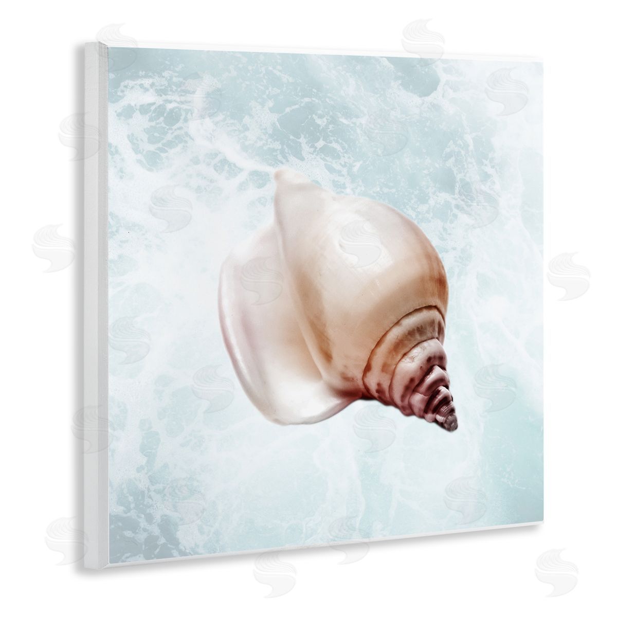 Marcus Prime Nautical Beach Seashell Wooden Wall Plaque Art Print