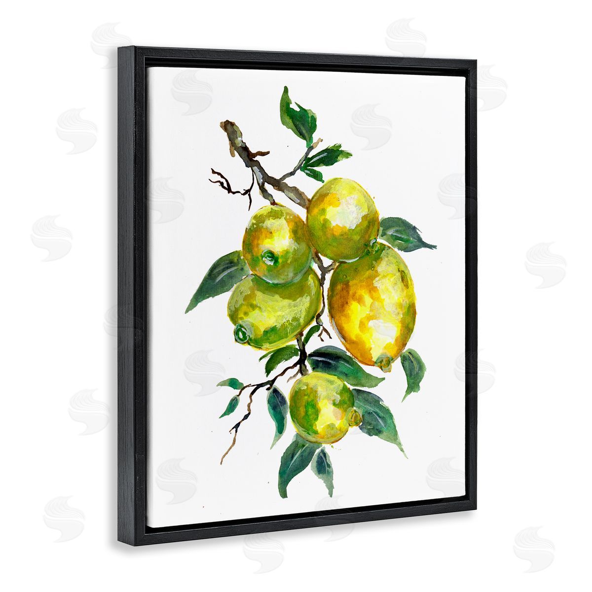 Sebastian Grafmann Lemon Citrus fr_sideuit Tree