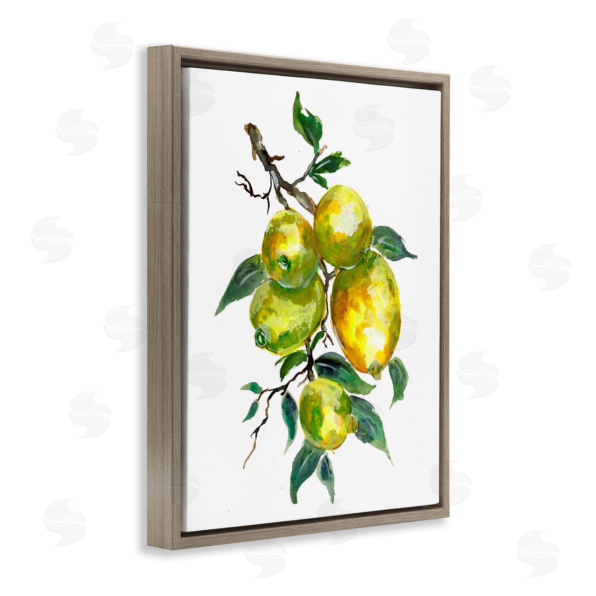 Sebastian Grafmann Lemon Citrus fr_sideuit Tree