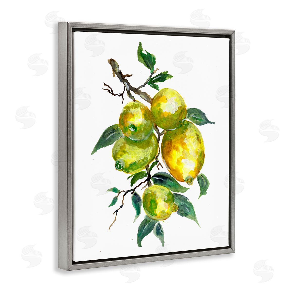 Sebastian Grafmann Lemon Citrus fr_sideuit Tree