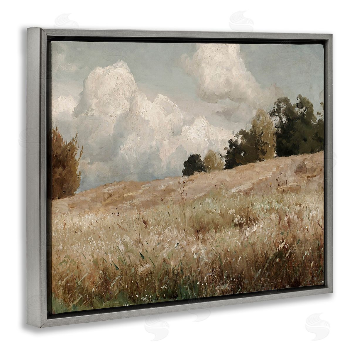 Classic Cloudy Field Landscape Grey Floating Frame Canvas Wall Art, Home Decor by Lettered and Lined
