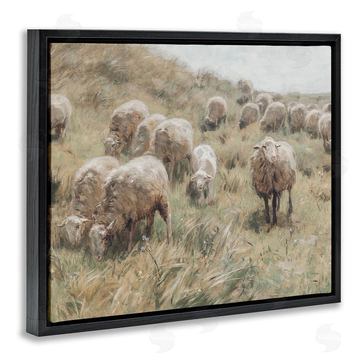 Lettered and Lined Rural Cattle Grazing Field