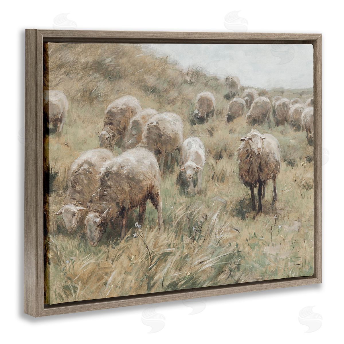 Lettered and Lined Rural Cattle Grazing Field