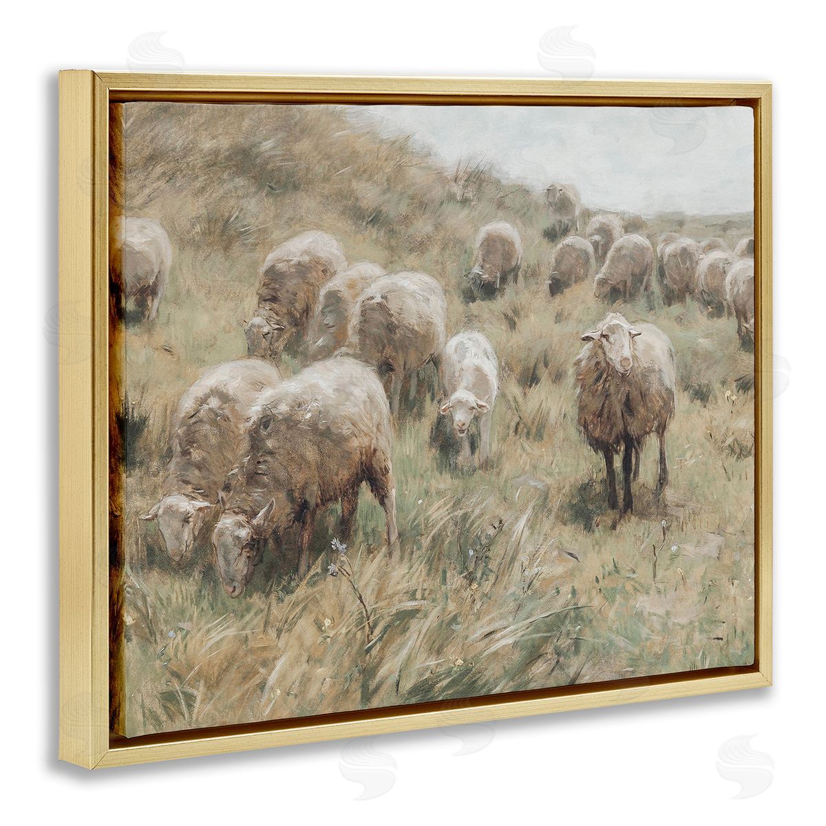 Lettered and Lined Rural Cattle Grazing Field