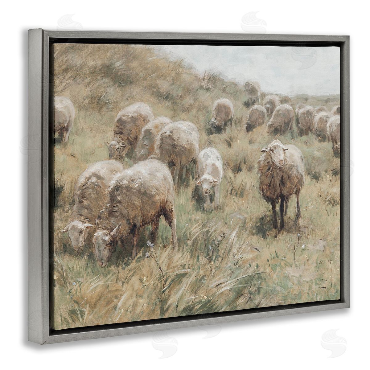 Lettered and Lined Rural Cattle Grazing Field