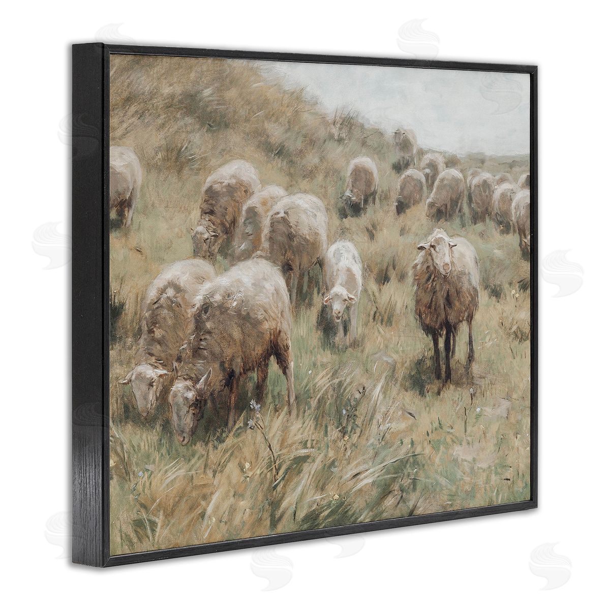 Lettered and Lined Rural Cattle Grazing Field