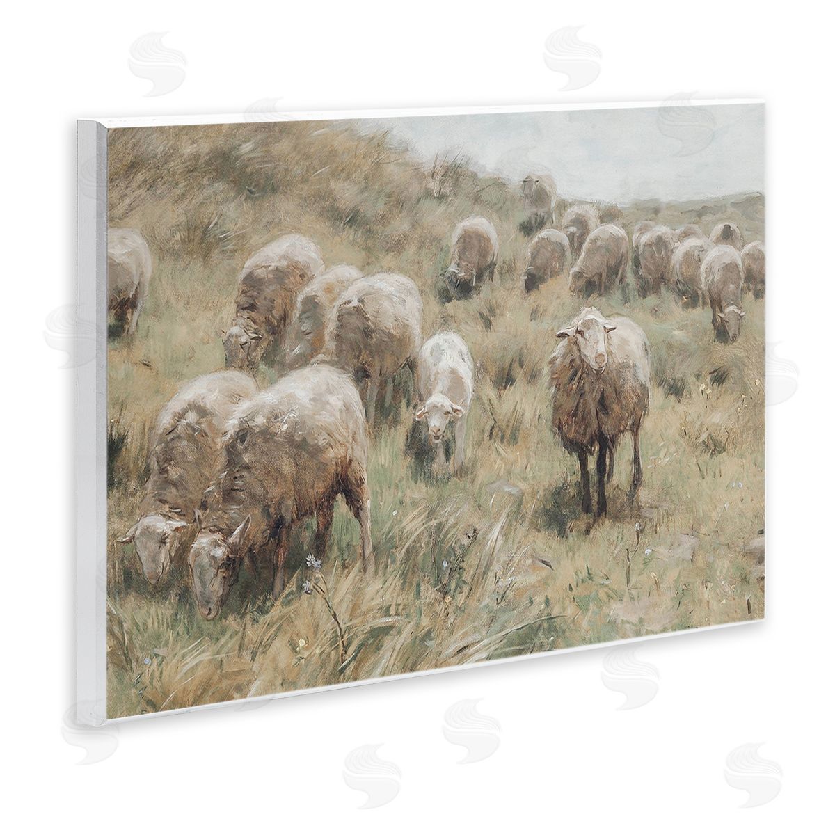 Lettered and Lined Rural Cattle Grazing Field