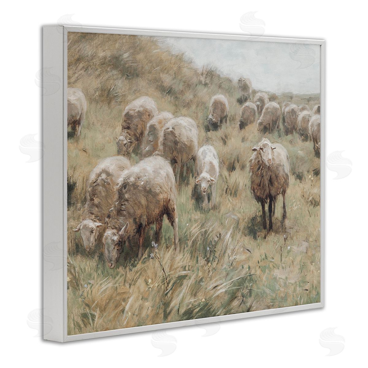 Lettered and Lined Rural Cattle Grazing Field