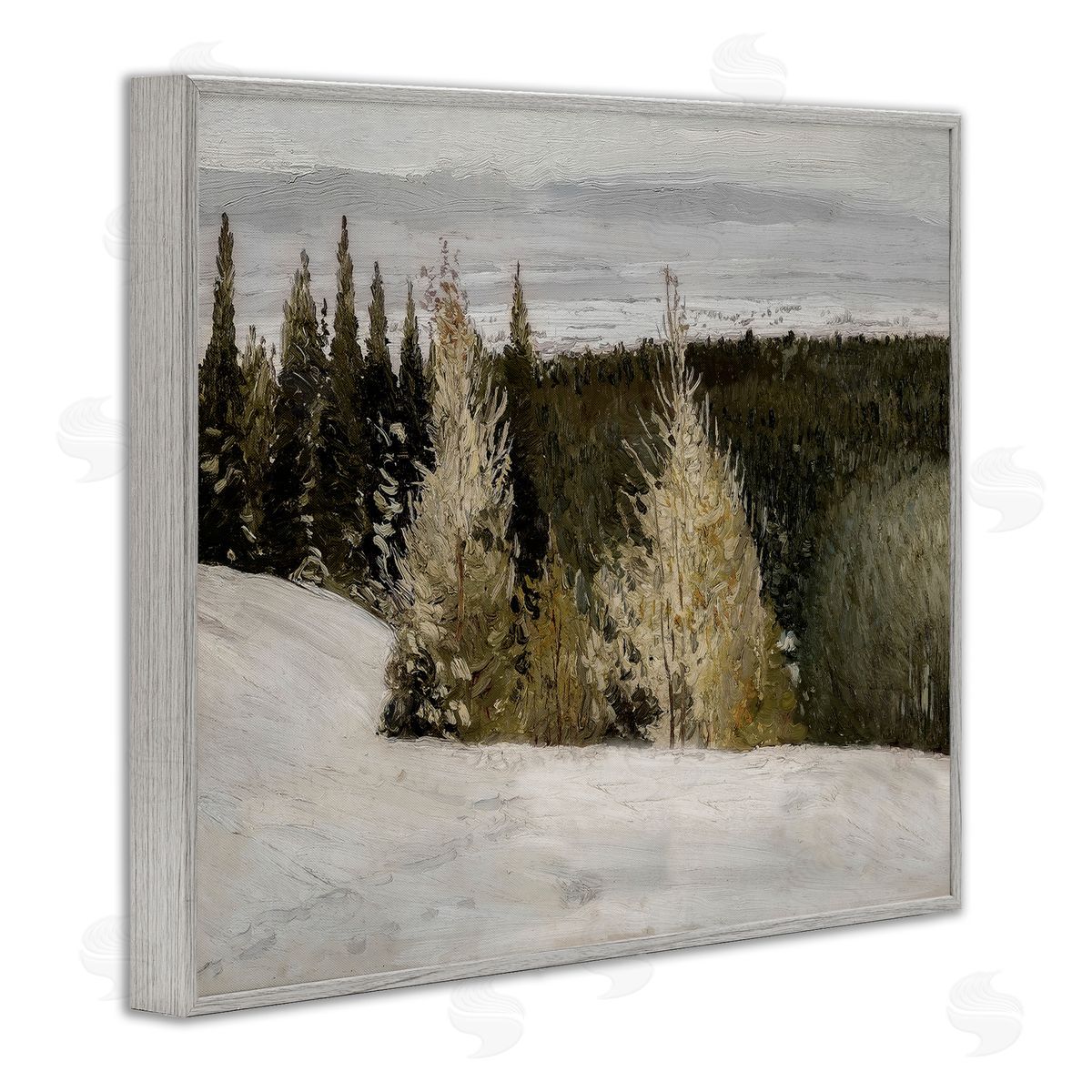 Lettered and Lined Snowy Slopes Woodland Nature