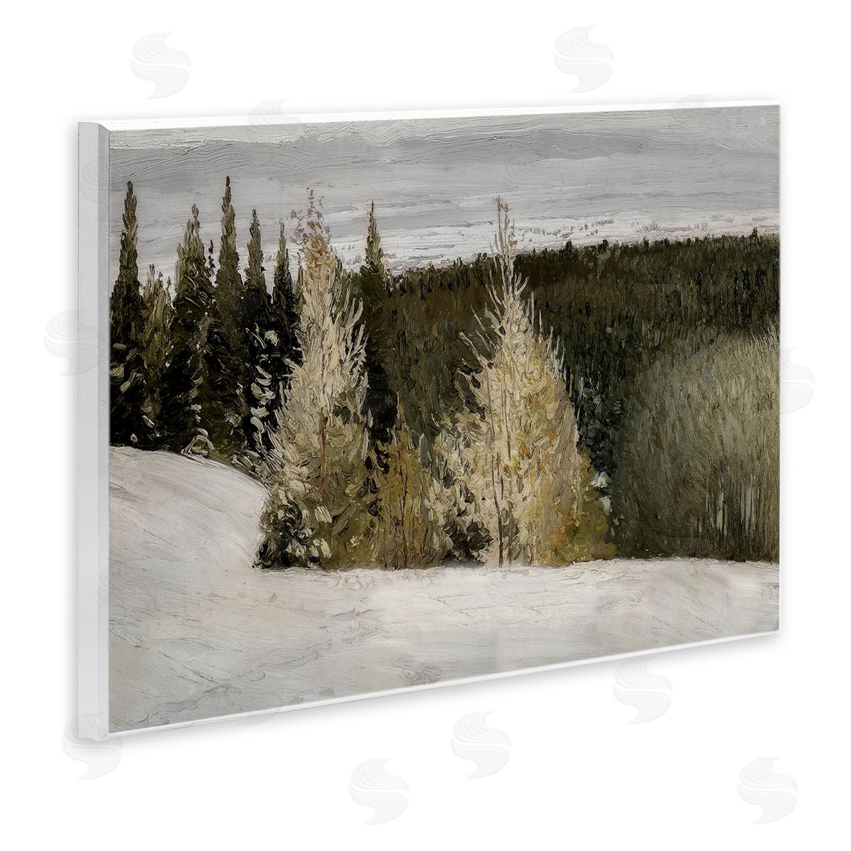 Lettered and Lined Snowy Slopes Woodland Nature