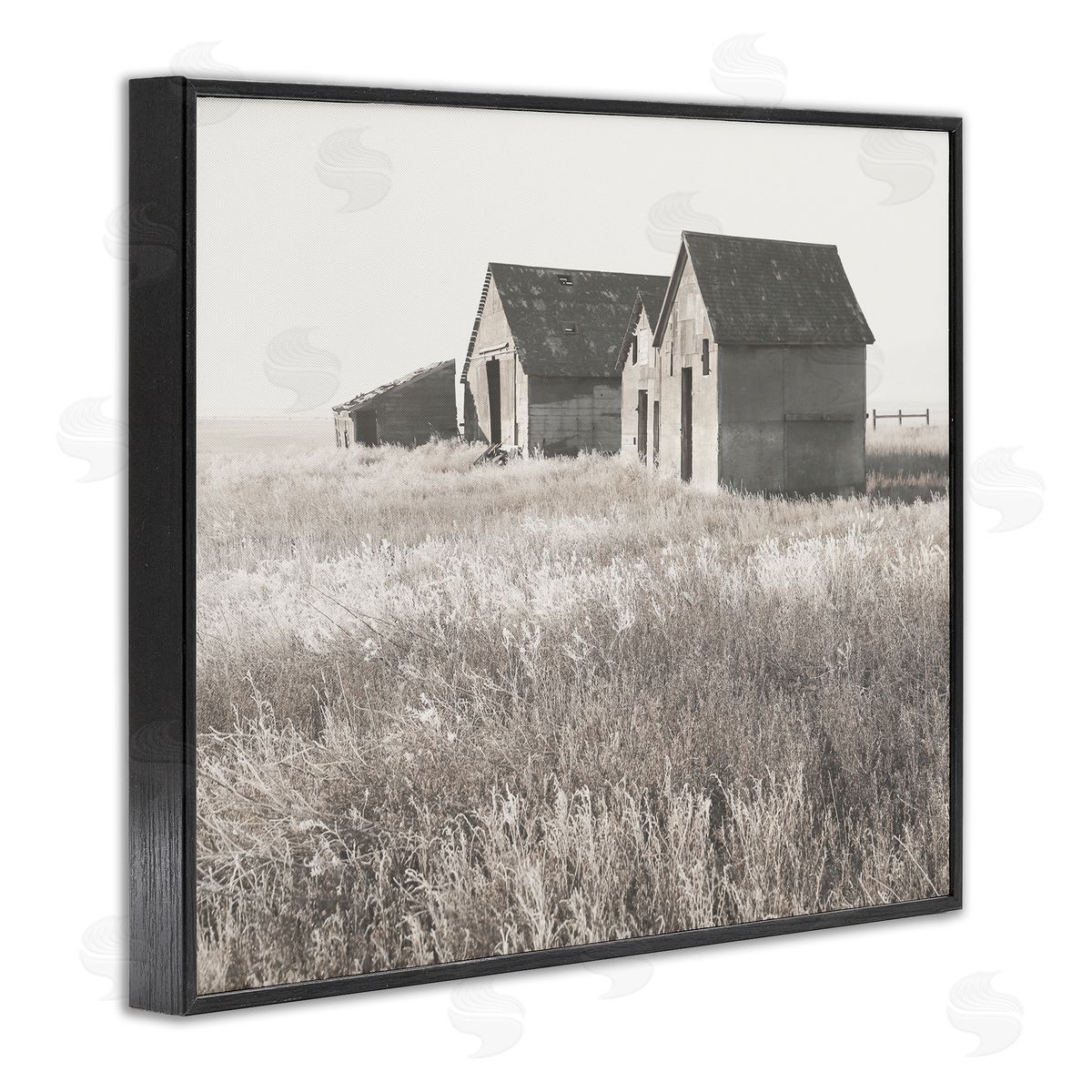 Carol Robinson Rural Barn Grassland Field