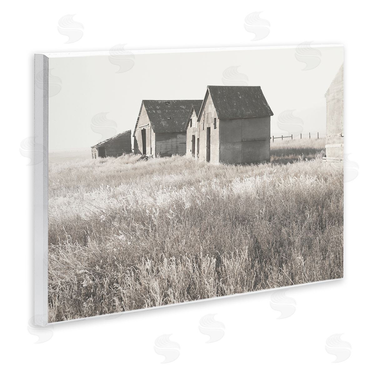 Carol Robinson Rural Barn Grassland Field