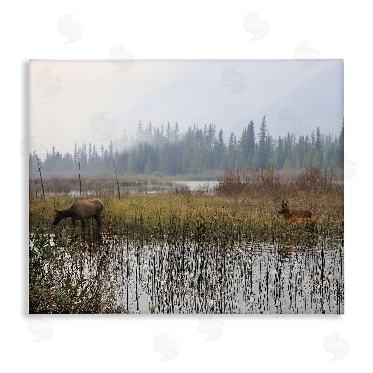Carol Robinson Animals Grazing Creek Landscape