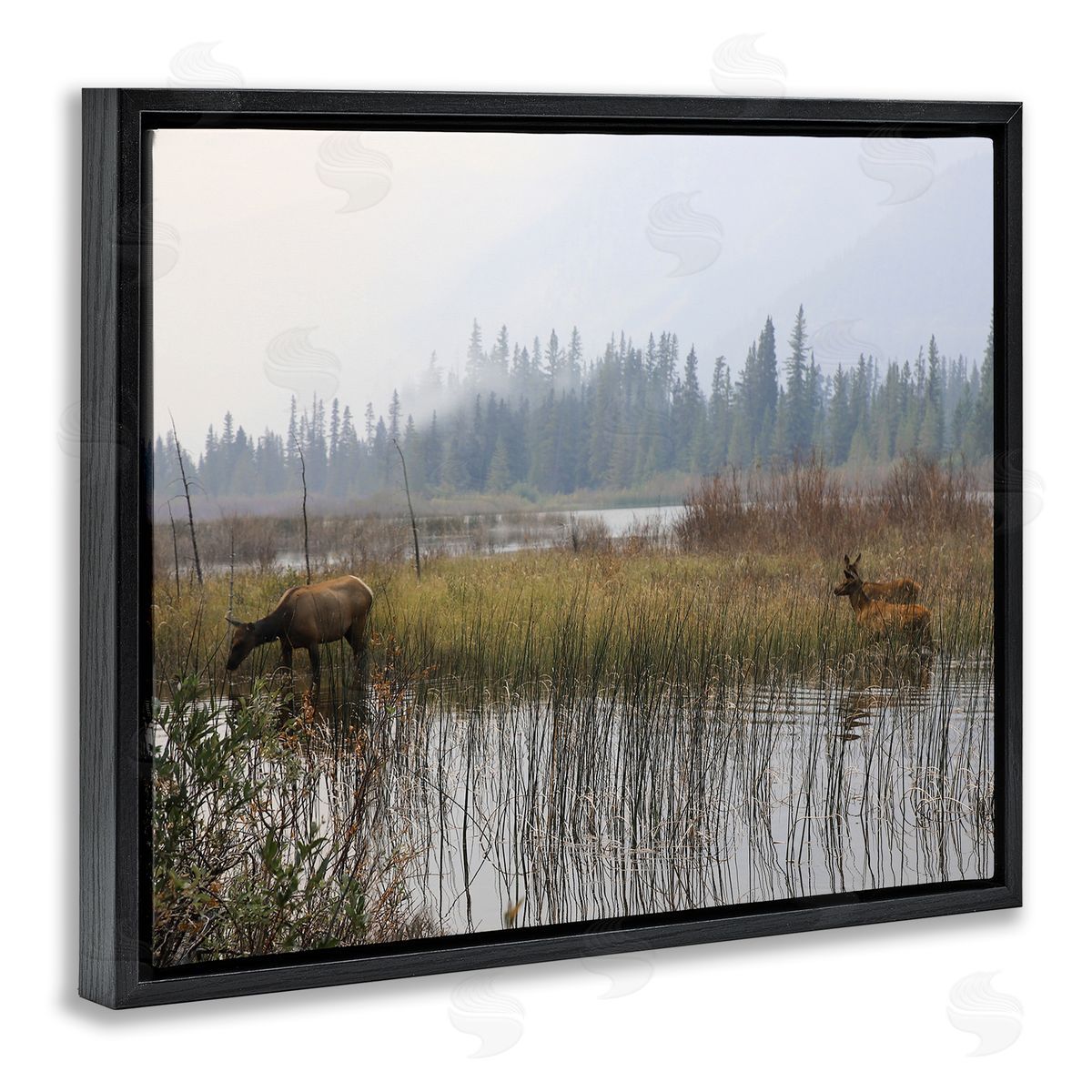 Carol Robinson Animals Grazing Creek Landscape