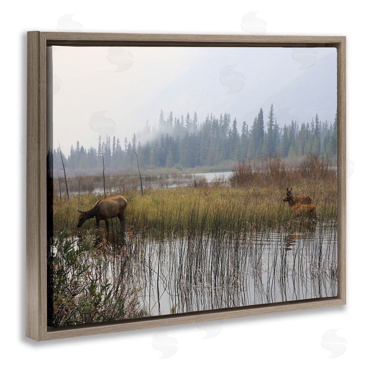 Carol Robinson Animals Grazing Creek Landscape