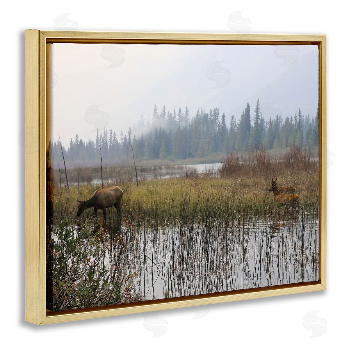 Carol Robinson Animals Grazing Creek Landscape