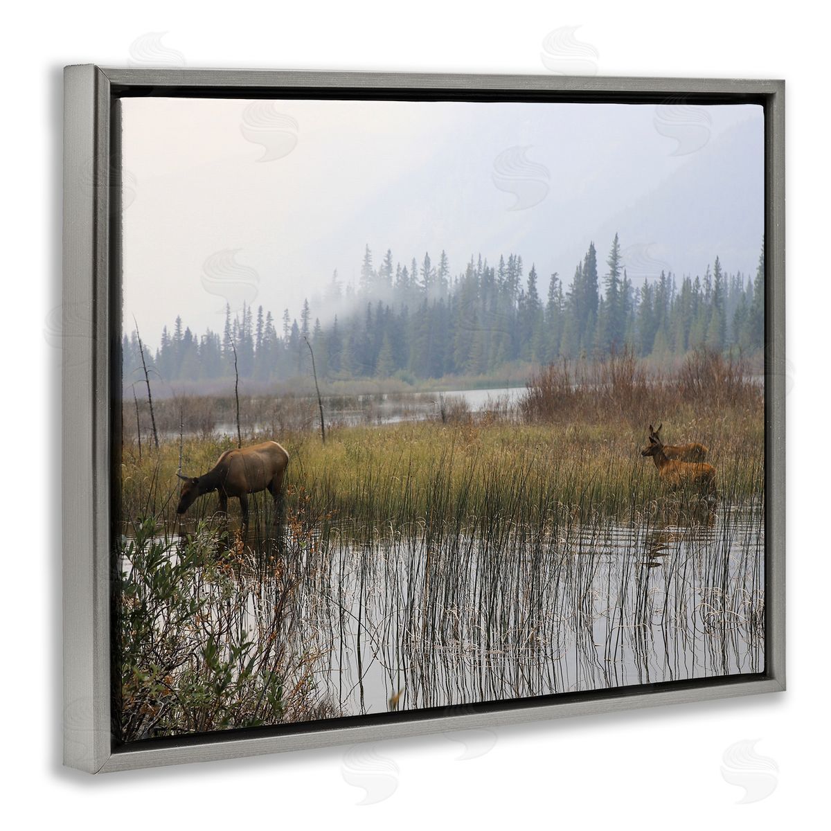 Carol Robinson Animals Grazing Creek Landscape