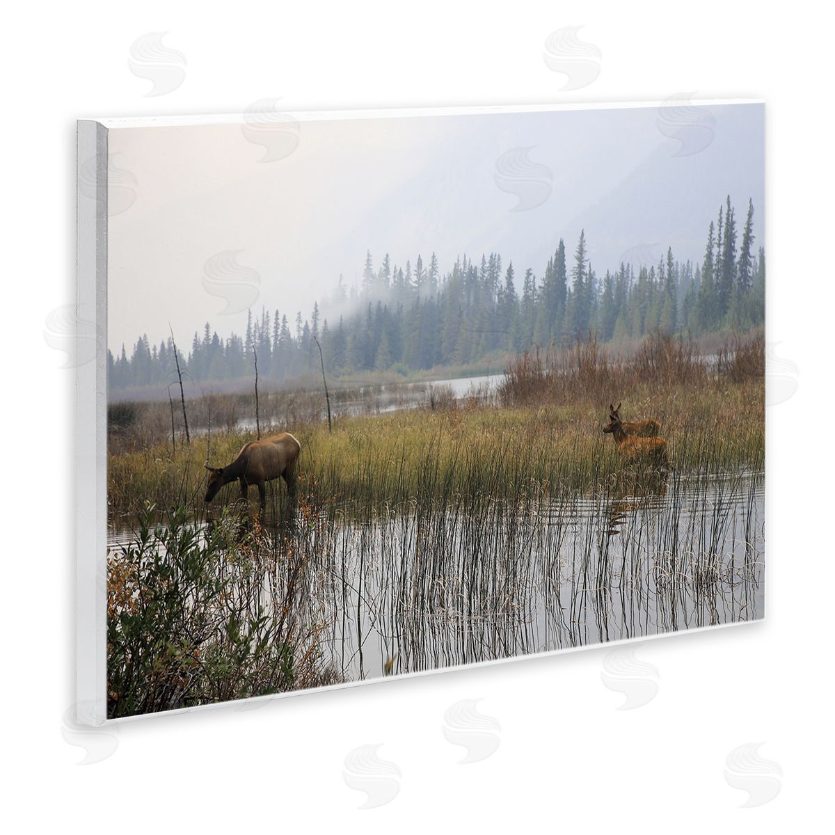 Carol Robinson Animals Grazing Creek Landscape