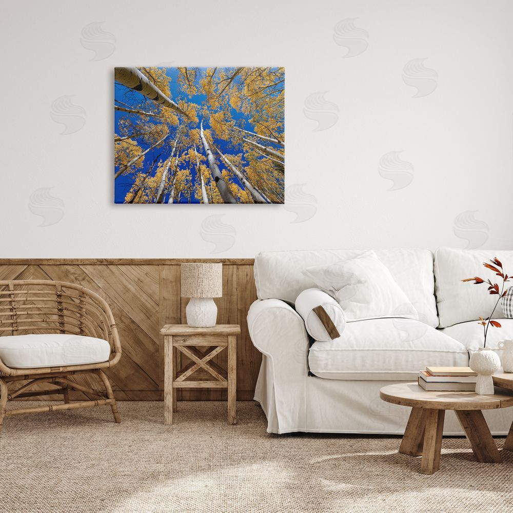 Andy Crawford Photography Looming Woodland Foliage Trees