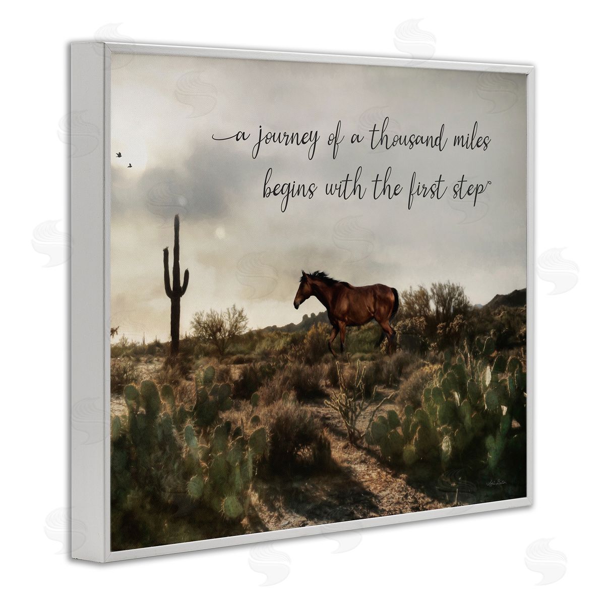 Lori Deiter Journey Begins With First Step Scenery