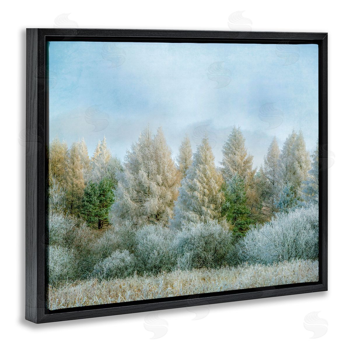 Brooke T. Ryan Woodland Grove Forest Trees