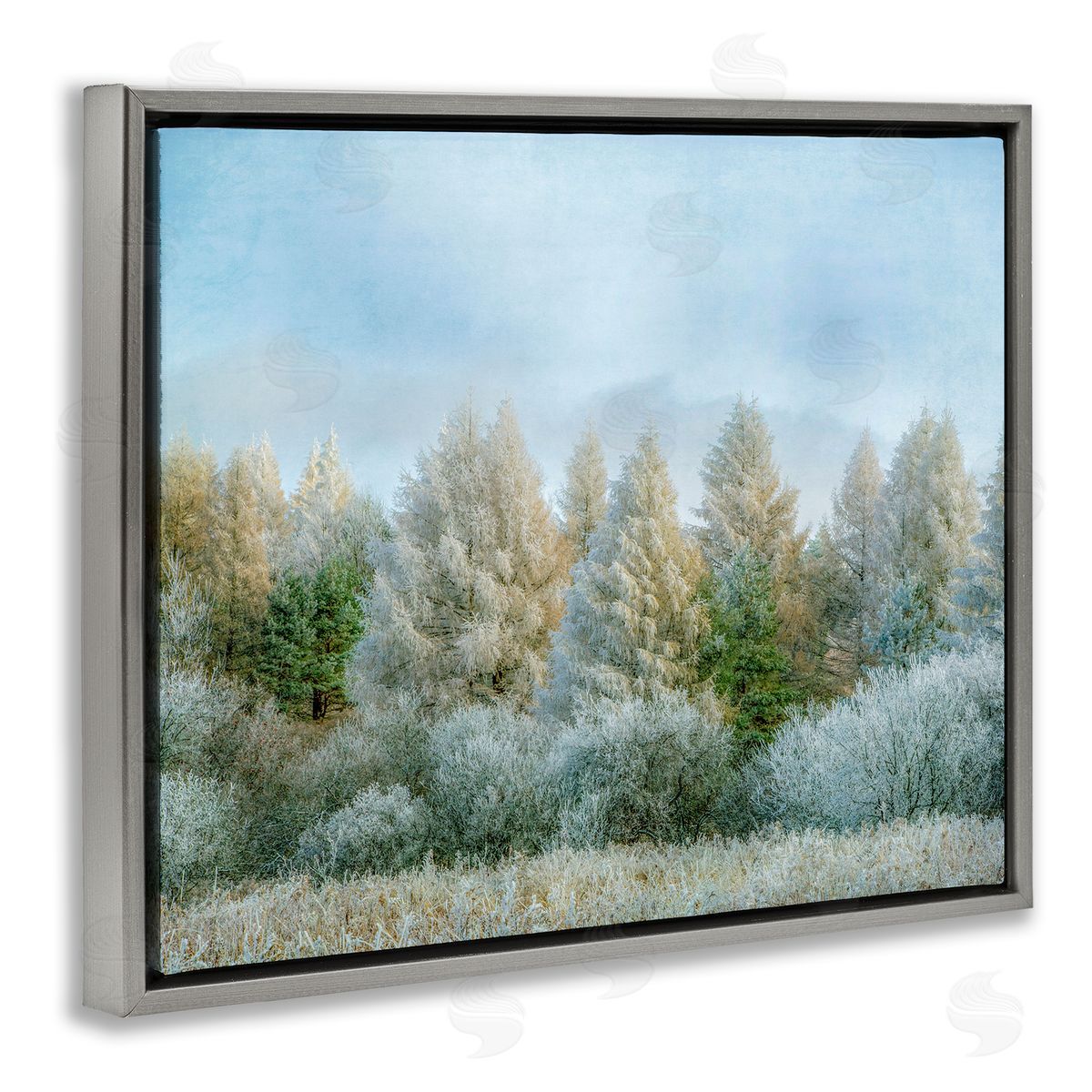 Brooke T. Ryan Woodland Grove Forest Trees