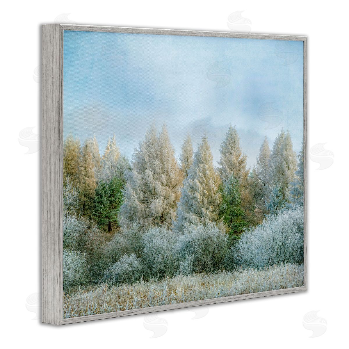 Brooke T. Ryan Woodland Grove Forest Trees